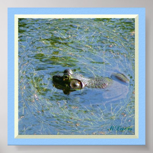 Grosse grenouille énorme affiche (Devant)