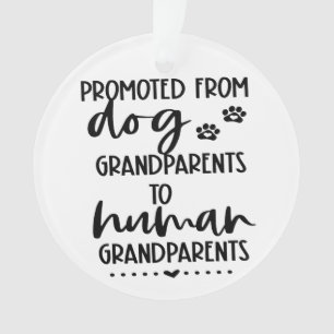 Grossesse en cadeau de grand-parent