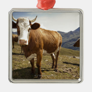 grossglockner hochalpenstrasse,hohe tauern; metalen ornament