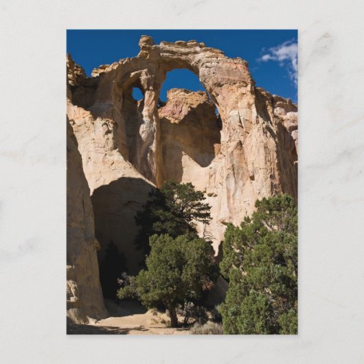 Grosvenor Arch Briefkaart (Voorkant)