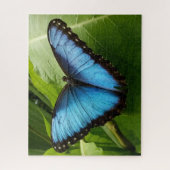 Grote 520p 16 x 20 vlinderfotopuzzel cadeaudoos legpuzzel (Verticaal)