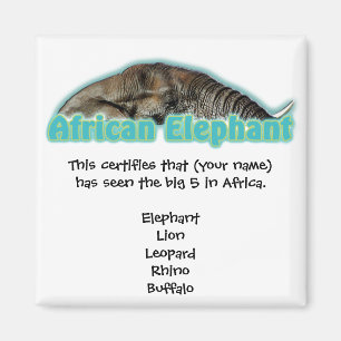 Grote 5 Afrikaanse safari-magneten Magneet