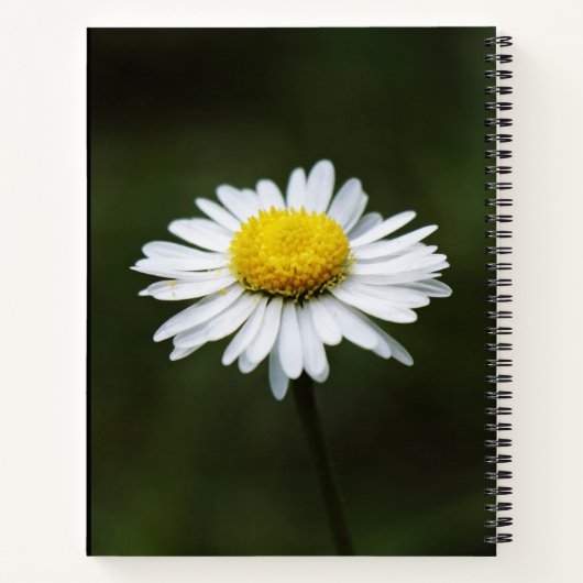 Grote 8,5-inch x 11-inch laptop met Daisy Flower ( Notitieboek (Achterkant)