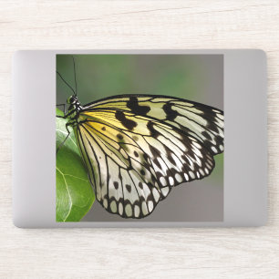 Grote 8 x 8 inch vinylstickers op maat sticker