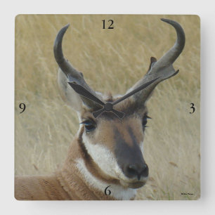 Grote A5 Gaffelantilope bok kopschot Vierkante Klok