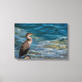 Grote aalscholver op de rotsen canvas afdruk