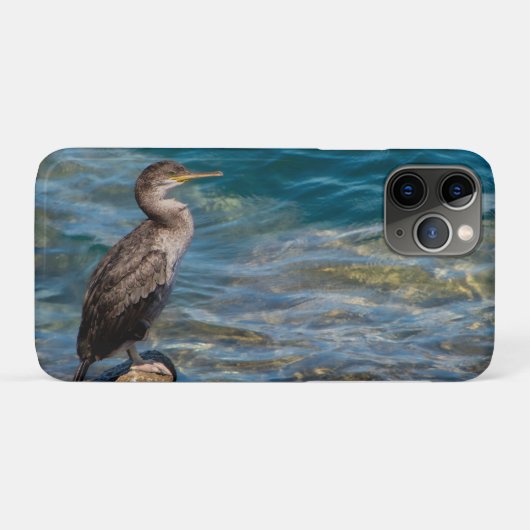 Grote aalscholver op de rotsen Case-Mate iPhone case (Achterkant (horizontaal))