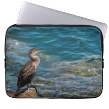 Grote aalscholver op de rotsen