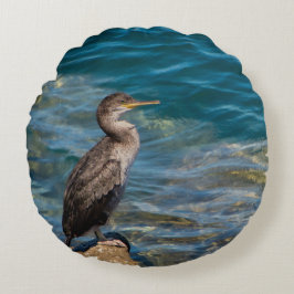 Grote aalscholver op de rotsen rond kussen