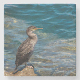 Grote aalscholver op de rotsen stenen onderzetter