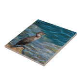 Grote aalscholver op de rotsen tegeltje (Zijkant)