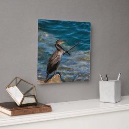 Grote aalscholver op de rotsen vierkante klok