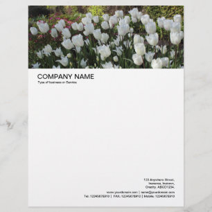 Grote Afbeelding koptekst - Bed of White Tulips Briefhoofd