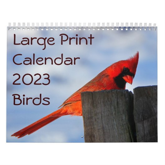 Grote afdrukagenda 2023 - vogels kalender (Hoes)