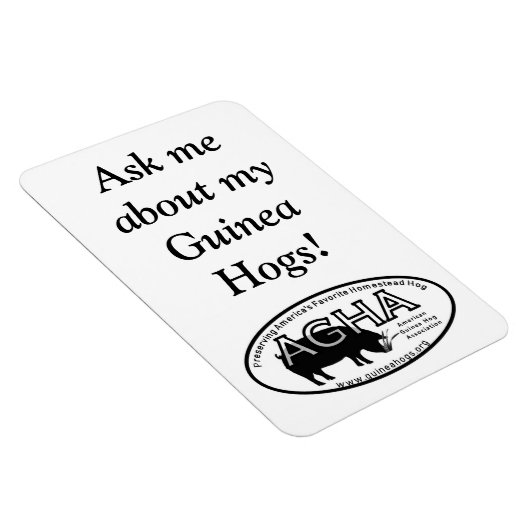 Grote AGHA magneet (Rechterzijde)