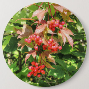 Grote Amerikaanse cranberries Ronde Button 6,0 Cm