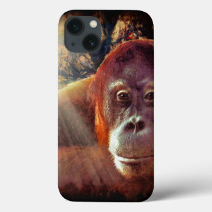 Grote ape Orangutan Wildlife Animal Lovers iPhone 13 Hoesje