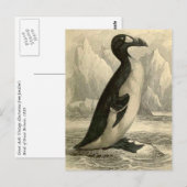 Grote auk:  Vintage Jardine's briefkaart voor druk (Voorkant / Achterkant)