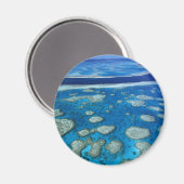 Grote Barrier Reef Magnet Magneet (Voorkant / Achterkant)