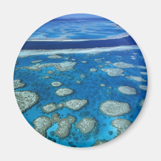 Grote Barrier Reef Magnet Magneet (Voorkant)