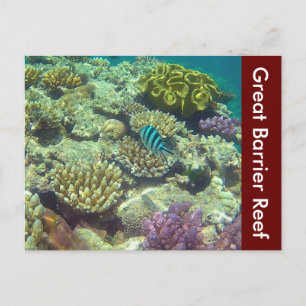 grote barrièrerif australië briefkaart