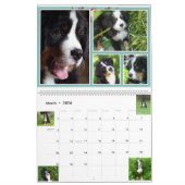 Grote Berner Nation Babes 2017 kalender (Mar 2026)