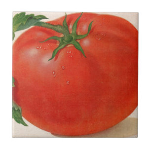 grote BIG juicy tomato Tegeltje
