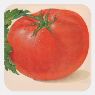 grote BIG juicy tomato Vierkante Sticker