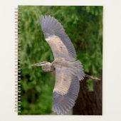 Grote Blauwe Heron 2024 Planner (Voorkant)