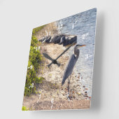 Grote blauwe Heron en alligator in het meer Vierkante Klok (Hoek)