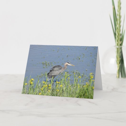 Grote Blauwe Heron in de rivier. Kaart (Voorkant)