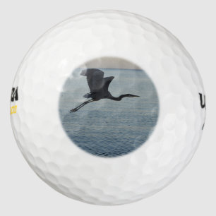 Grote Blauwe Heron in Napels, FL Golfballen
