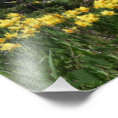 Grote Blauwe Heron met Daffodals Foto Afdruk (Hoek)