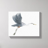Grote blauwe Heron opstijgen Canvas Print (Voorkant)