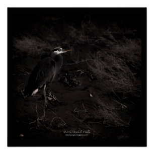 Grote Blauwe Heron P2391 Perfect Poster