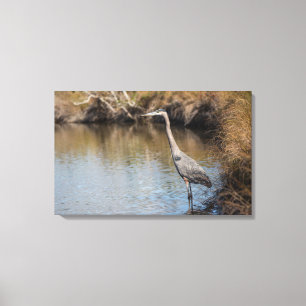 Grote Blauwe Heron Staande in Water Canvas Afdruk