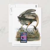 Grote blauwe kaart Audubon (Voorkant / Achterkant)