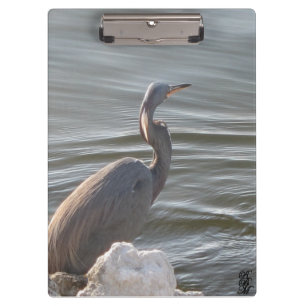 Grote Blauwe Reiger bij het Water Klembord