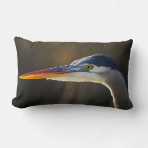Grote Blauwe Reiger, close-up portret Kussen