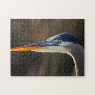 Grote Blauwe Reiger, close-up portret Legpuzzel