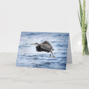 Grote Blauwe Reiger Dansend Over het Meer Blank Feestdagen Kaart