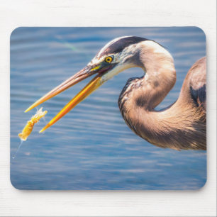 Grote Blauwe Reiger Jacht Foto Natuurprint Muismat
