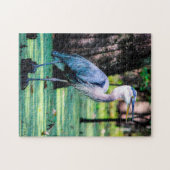 Grote Blauwe Reiger Louisana. Puzzel (Horizontaal)
