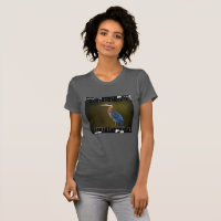 Grote Blauwe Reiger Natuurfilmstrip Modern