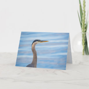 Grote Blauwe Reiger Natuurleefwereld Vogel Fotogra Feestdagen Kaart