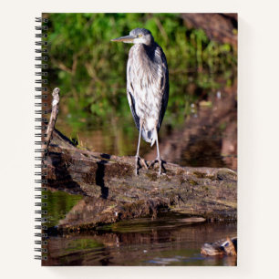 Grote Blauwe Reiger op Boomstam Foto Notitieboek D