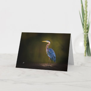 Grote Blauwe Reiger op Landelijke Steiger bij Zons Feestdagen Kaart