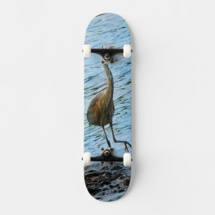 Grote Blauwe Reiger Skateboard