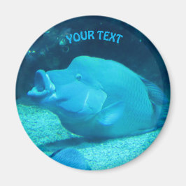 Grote blauwe vis magneet