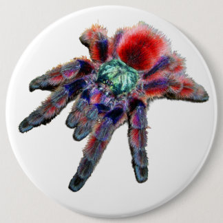 Grote blauwgroen paarse rode en blauwe tarantula s ronde button 6,0 cm